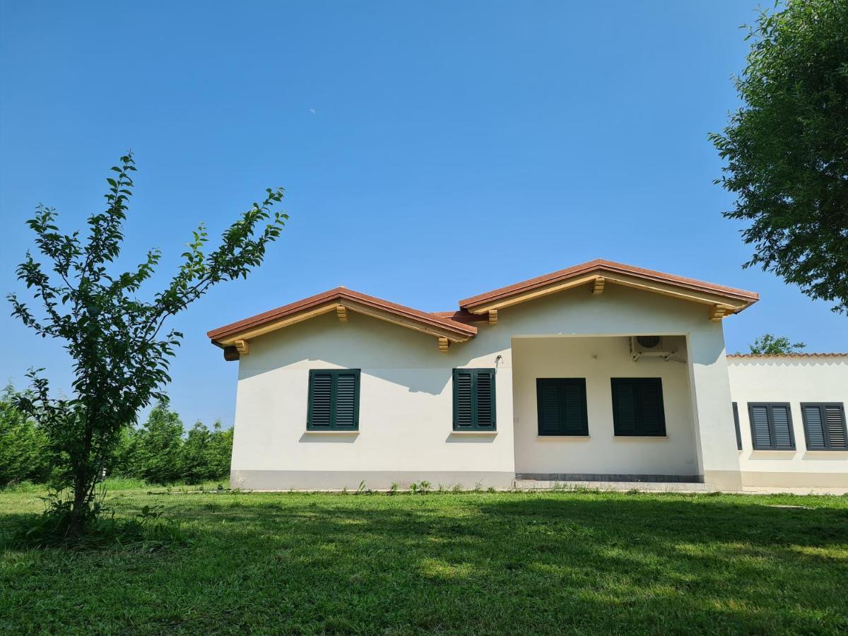 Agriturismo Ca Novak Venezia 斯皮内亚 外观 照片
