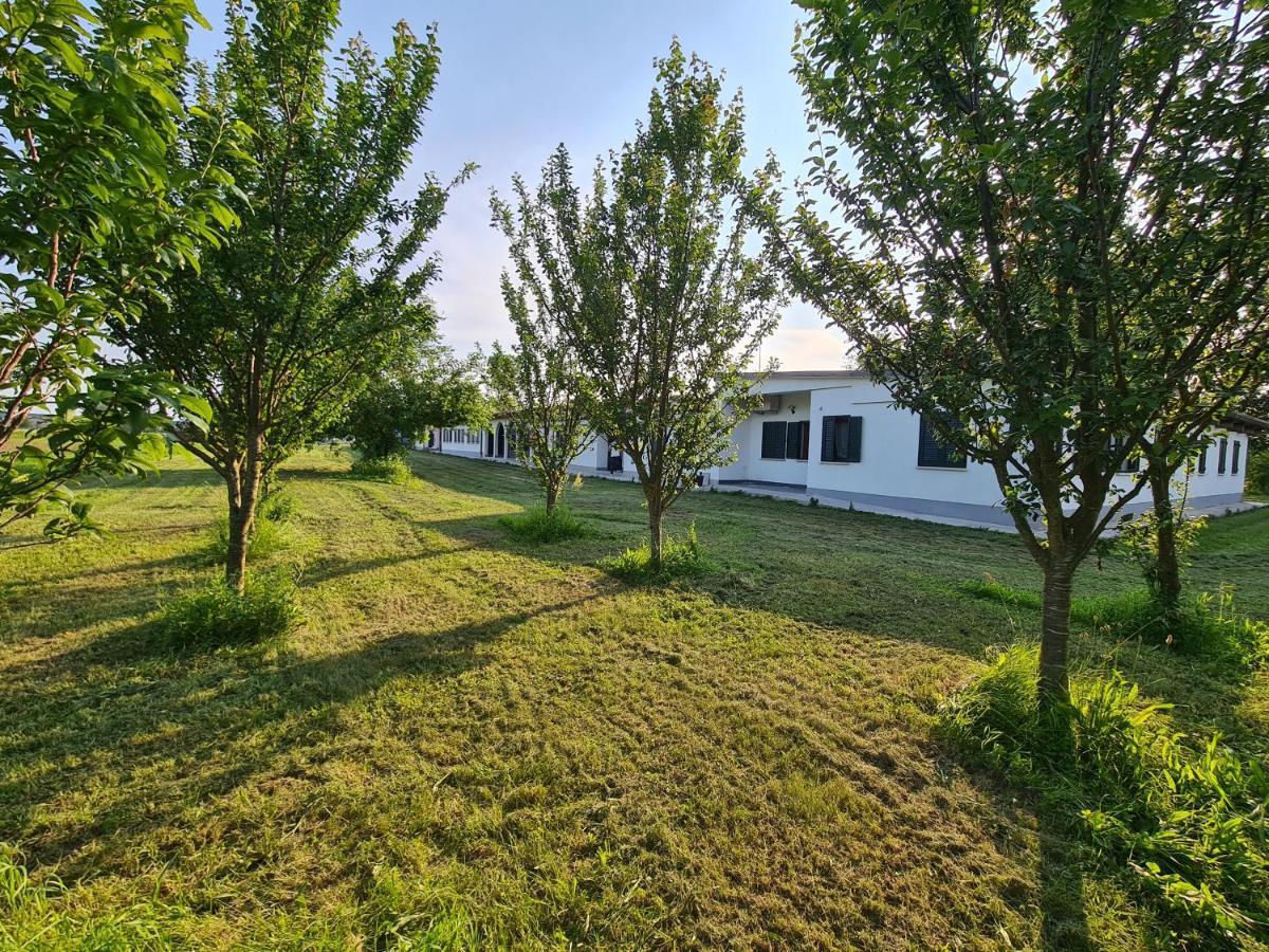 Agriturismo Ca Novak Venezia 斯皮内亚 外观 照片