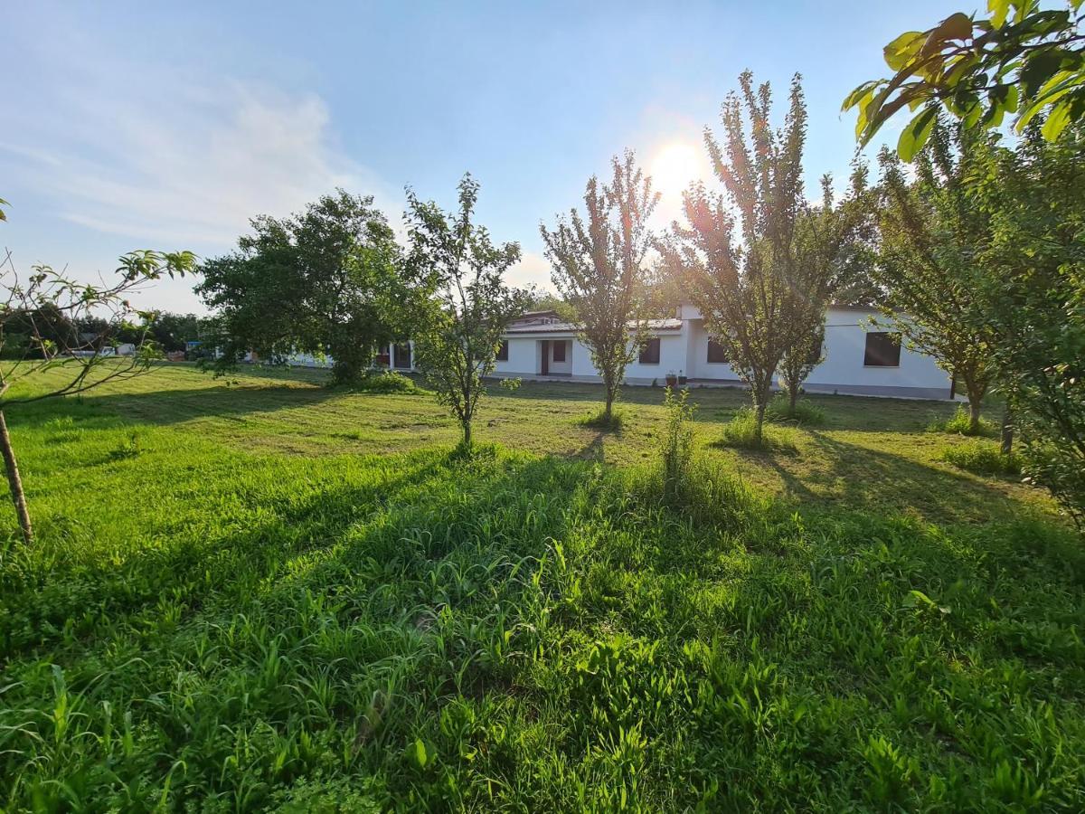 Agriturismo Ca Novak Venezia 斯皮内亚 外观 照片